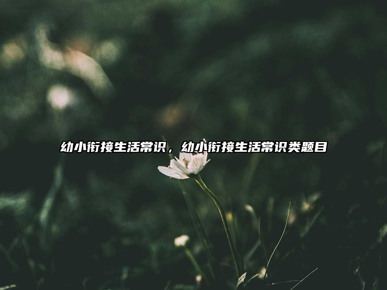 幼小衔接生活常识，幼小衔接生活常识类题目