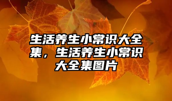 生活养生小常识大全集,生活养生小常识大全集图片