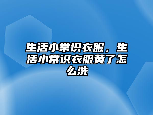 生活小常识衣服，生活小常识衣服黄了怎么洗