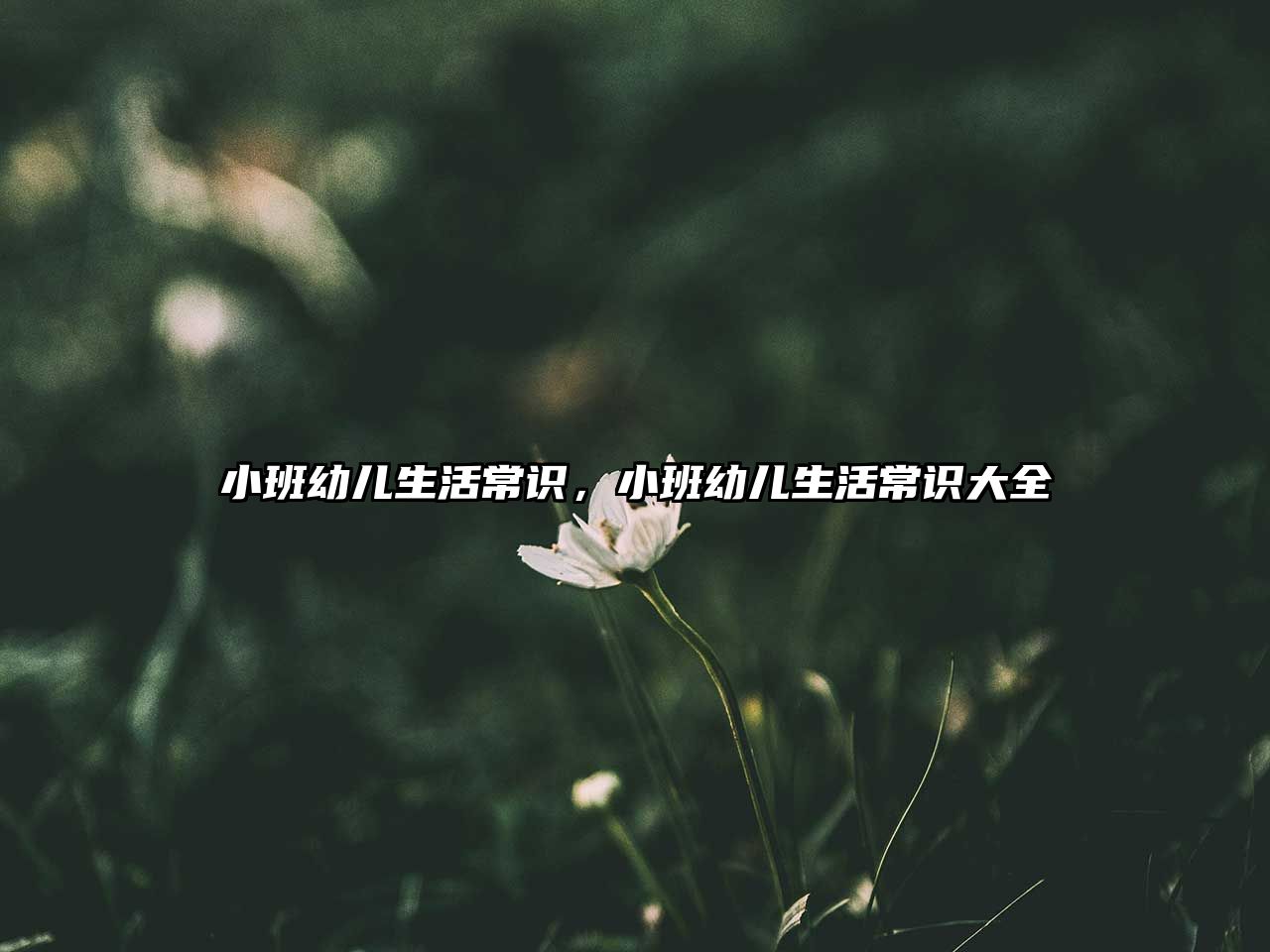 小班幼儿生活常识，小班幼儿生活常识大全
