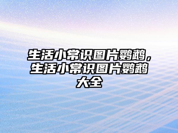 生活小常识图片鹦鹉,生活小常识图片鹦鹉大全