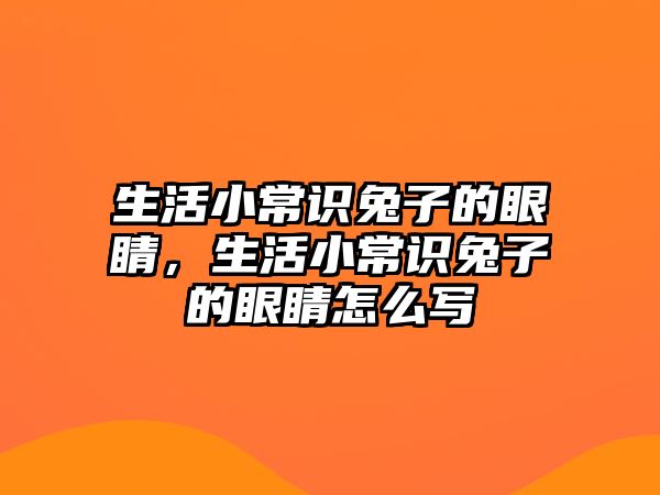生活小常识兔子的眼睛,生活小常识兔子的眼睛怎么写