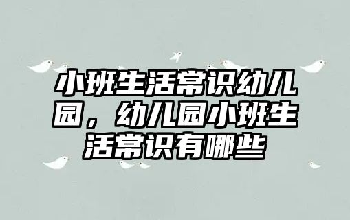 小班生活常识幼儿园,幼儿园小班生活常识有哪些