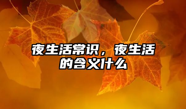 夜生活常识,夜生活的含义什么