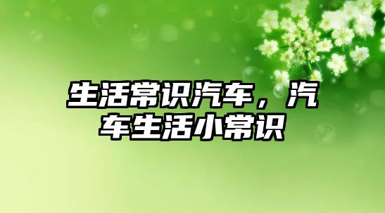 生活常识汽车,汽车生活小常识
