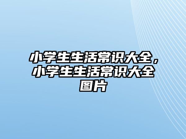 小学生生活常识大全，小学生生活常识大全图片