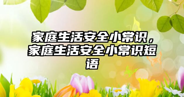 家庭生活安全小常识，家庭生活安全小常识短语